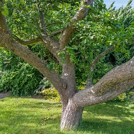 Semesterbostad Sampsa - 75m From The Sea By Interhome Malling