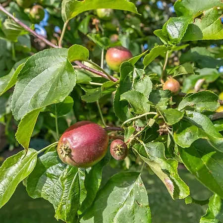 Sampsa - 75m From The Sea By Interhome