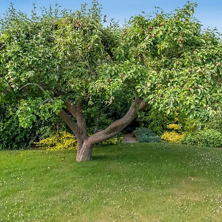 Sampsa - 75m From The Sea By Interhome * Malling