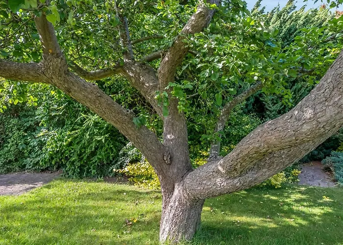 Nyaraló Sampsa - 75m From The Sea By Interhome Malling