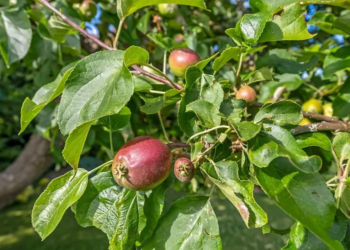 Sampsa - 75m From The Sea By Interhome